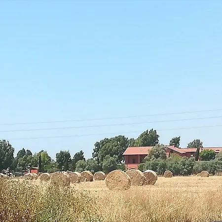Ila In Fiera Roma